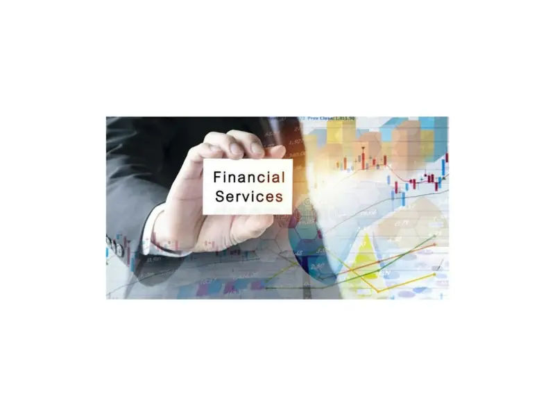 Embedding Finance Directly Into Self‑Hosted Stores: A Blueprint for Faster Growth - Ecom Directory
