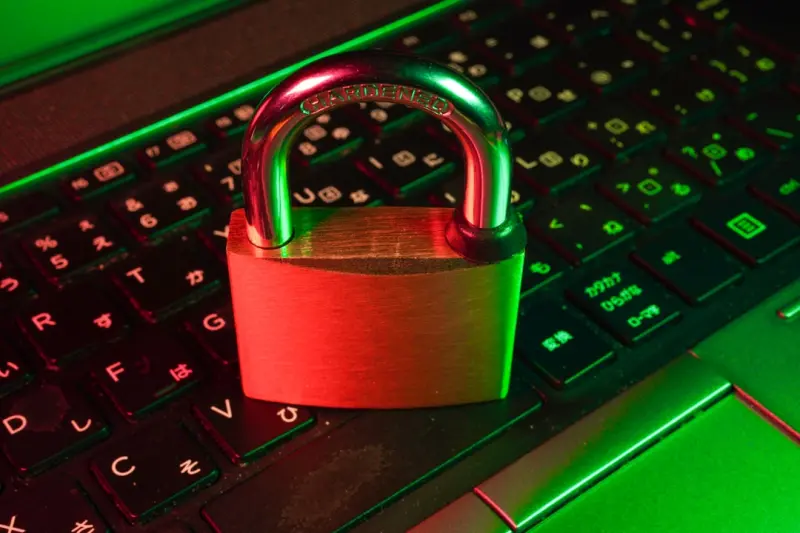 Unlocking Data Freedom: How Open‑Source Ecommerce Empowers Brands to Own Their Customer Insights - Ecom Directory