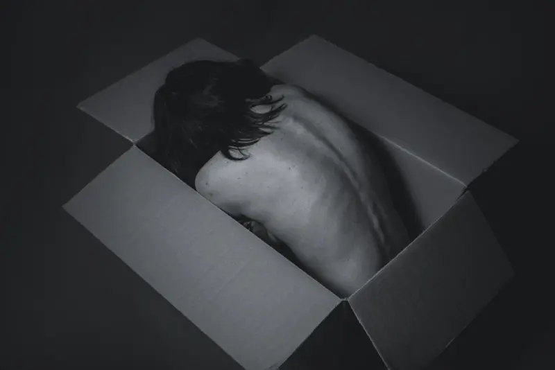Beyond the Box: Real Control with Self‑Hosted Commerce Platforms - Ecom Directory
